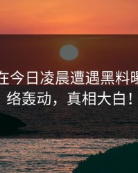 主持人在今日凌晨遭遇黑料曝光，网络轰动，真相大白！