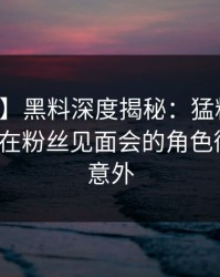 【独家】黑料深度揭秘：猛料风波背后，大V在粉丝见面会的角色彻底令人意外